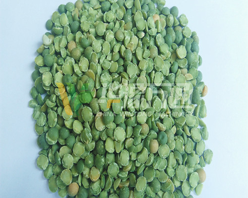 <a href=http://www.safbaby.cn/product/8/ target=_blank class=infotextkey>豌豆脫皮機</a>
